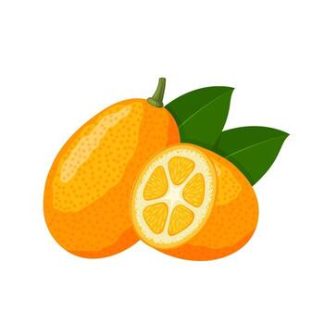 Kumquat