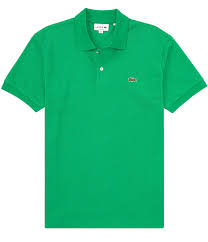 New Polo 2