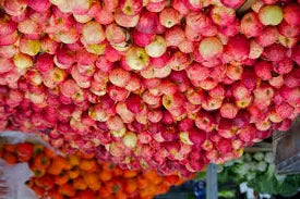 61e72934ee9096ba6e5caaea8f9e4540